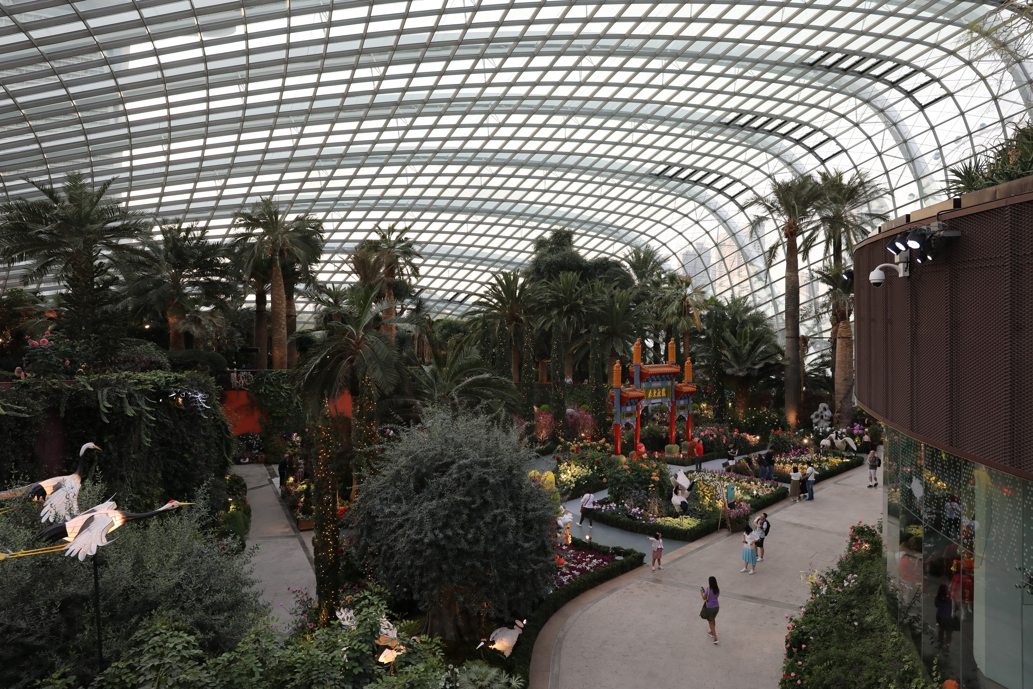 2020 02 03 19 10 57 Canon EOS 5D Mark IV 0076